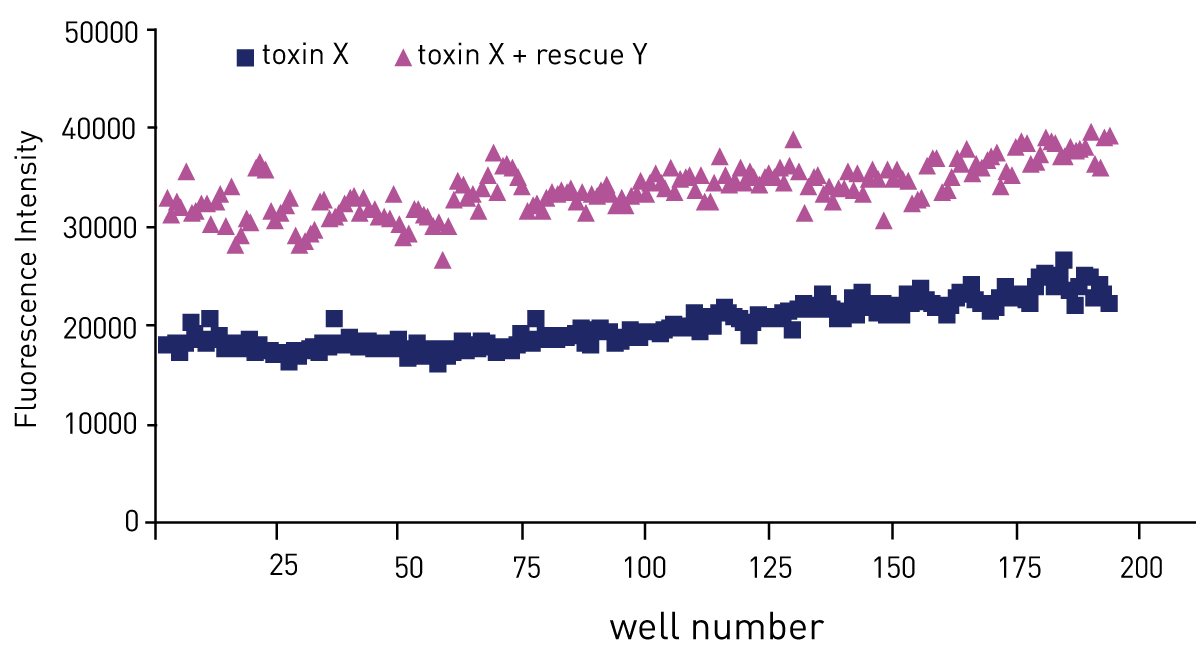 Fig. 3: Fluorescence intensity values indicating the membrane potential in control ﬁbroblast in 384 well plate (192 wells used). The values were obtained either after treatment with mitochontrial toxin X alone or mitochondrial toxin X and rescue compound Y.