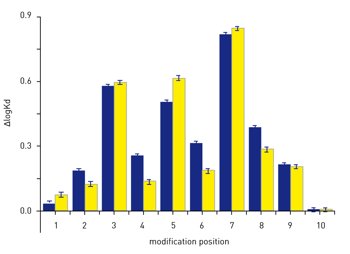 Fig. 4: Effects of dinucleotide modifications on affinity of p53 for DNA. Nonmodified (blue) or modified (yellow) dinucleotide was systematically substituted into the reference sequence at positions 1-10 of the first half site.