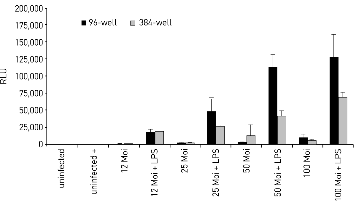 Fig. 3: Luciferase assay of human primary macrophages infected with NFκB Adenovirus in 96-well and 384-well format.
