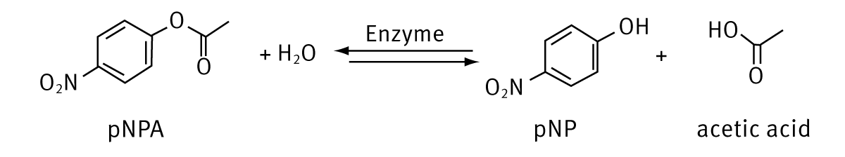 Fig. 1: Scheme of the pNPA assay.