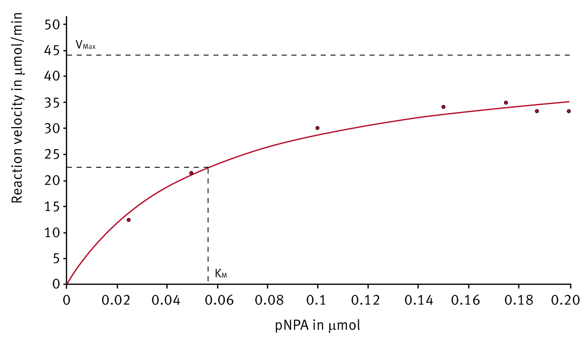 Fig. 4: Michaelis-Menten plot of the reaction velocity, obtained with the E1 enzyme preparation, depending on the substrate concentration. Km is the substrate concentration corresponding to the half of the maximal velocity.