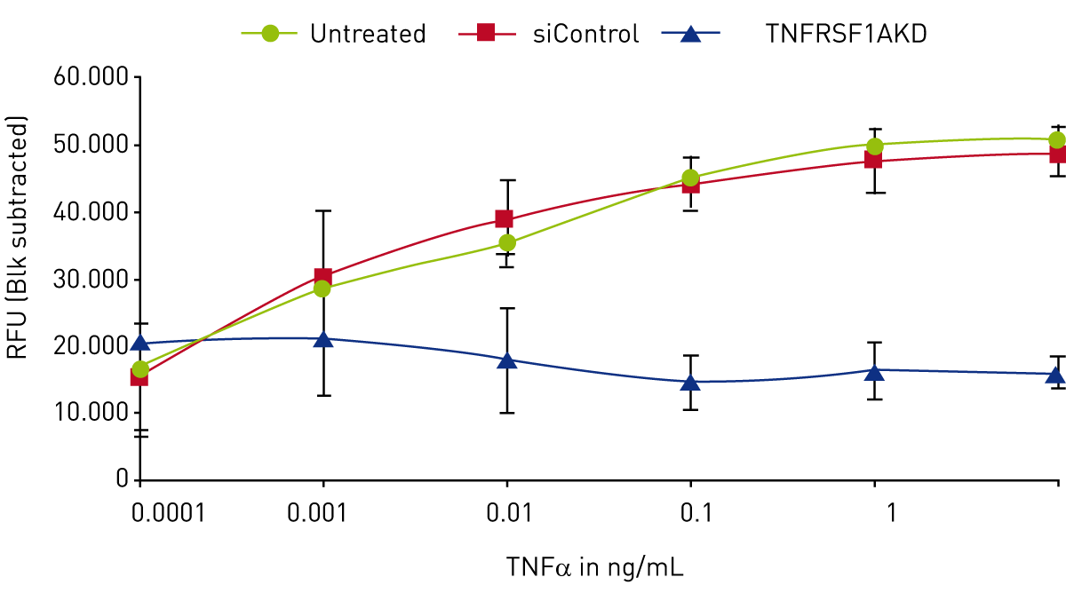 Fig. 3: Adhesion of Cell tracker green labelled HL60 cell line to TNFa treated HUVEC following siRNA gene knockdown (TNFRSF1AKD).