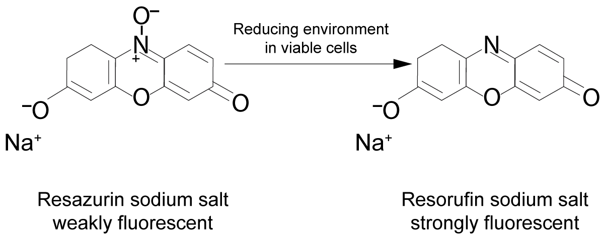 Fig. 1: alamarBlue assay principle.