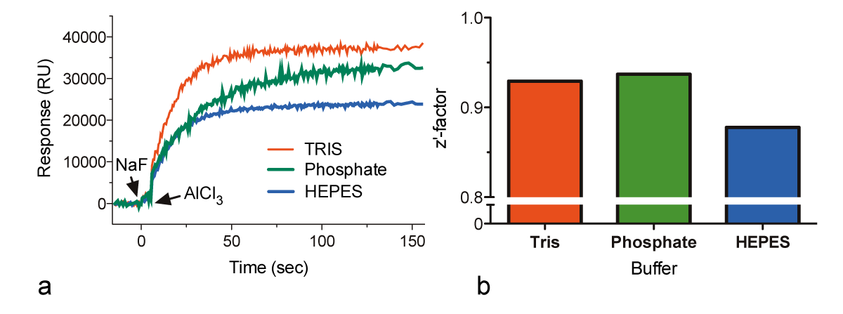 Fig. 3: (a) Signal intensities for 1 μM Gαi1 in various assay buffers with common salts. (b) Z’-factors of the assay performed in various buffers.