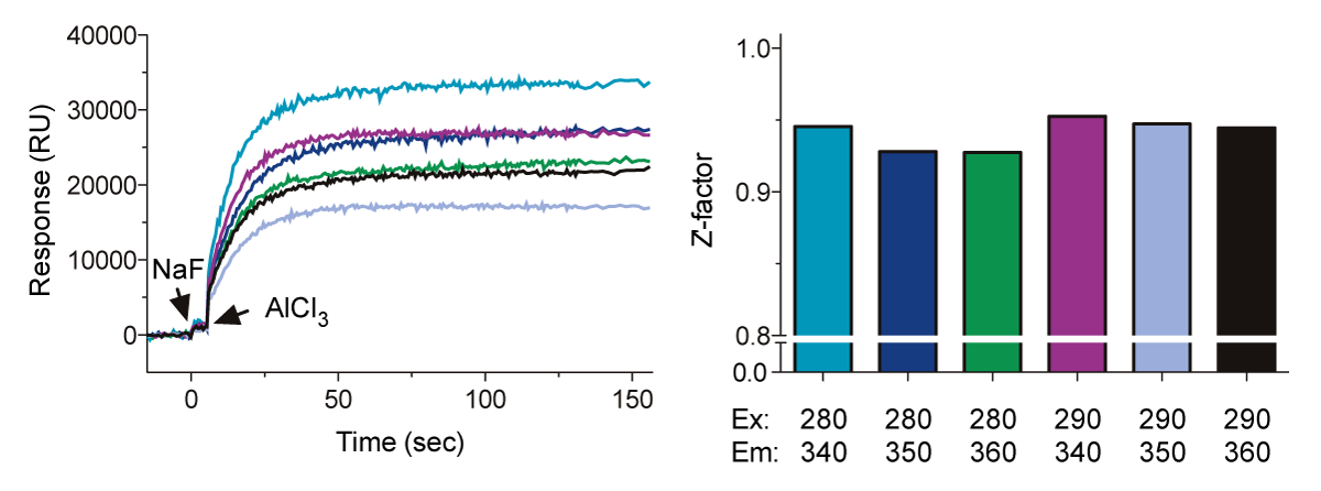 Fig. 4: Effect of 5 μM of the GDI peptide AGS3Con on intrinsic tryptophan signal intensity upon aluminum tetrafluoride activation of 500 nM Gαi1.