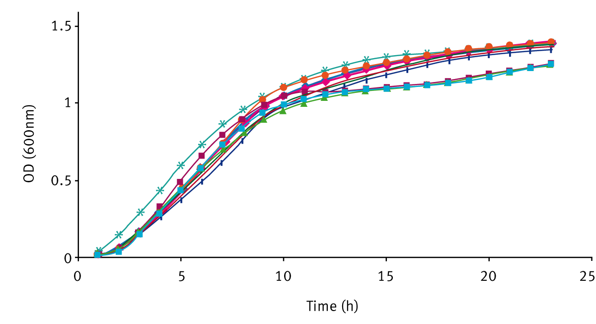Fig. 2: Batch growth curve of V. fischeri strains grown in LBS and SWT with and without addition of 10 mM 3-oxo-C6-HSL.