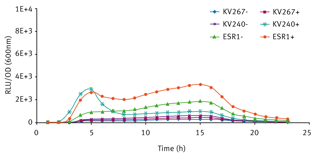 Fig. 3: Bioluminescence expression of V. fischeri strains grown in LBS (+ means addition of 10 mM 3-oxo-C6-HSL; - means no 3-oxo-C6-HSL).