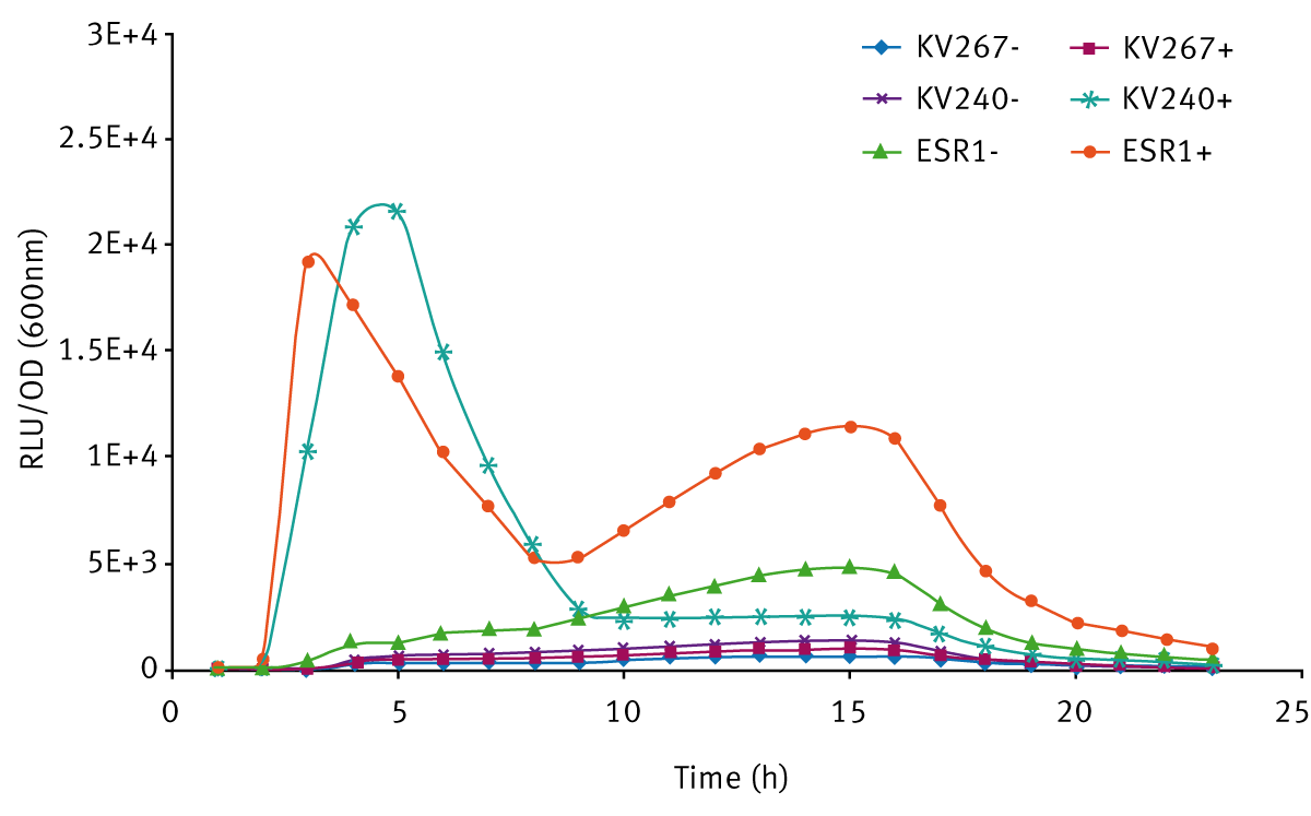 Fig. 4: Bioluminescence expression of V. fischeri strains grown in SWT (+ means addition of 10 mM 3-oxo-C6-HSL; - means no 3-oxo-C6-HSL).