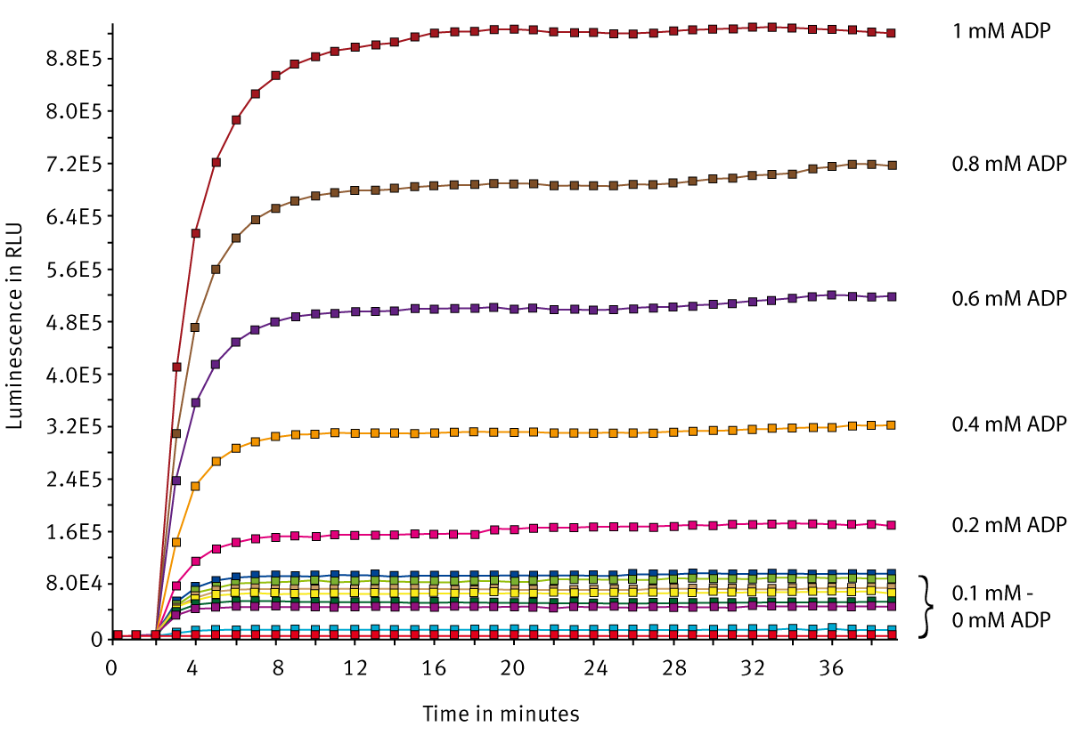 Fig. 2: Signal curves for several dilutions of ADP/ATP standard measured on the PHERAstar FS. The gain was set to 2400.