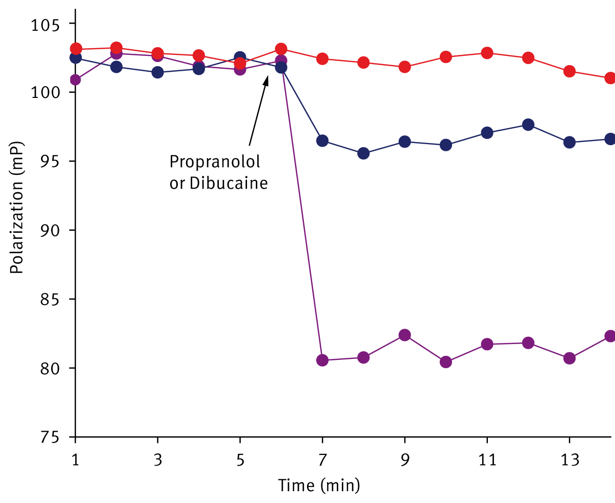 Fig. 4: Effect of propranolol and dibucaine on FP measured in DPH-labeled PC/PE/PS/PI/CL liposomes (above) and isolated mitochondria (below). Arrows indicate the addition of drug - 40 µM propranolol (light-blue line), 80 µM propranolol (dark- blue line), 80 µM dibucaine (purple line), control (red line). Red lines – control samples. Incubation conditions are the same as in Fig. 1 and 2.
