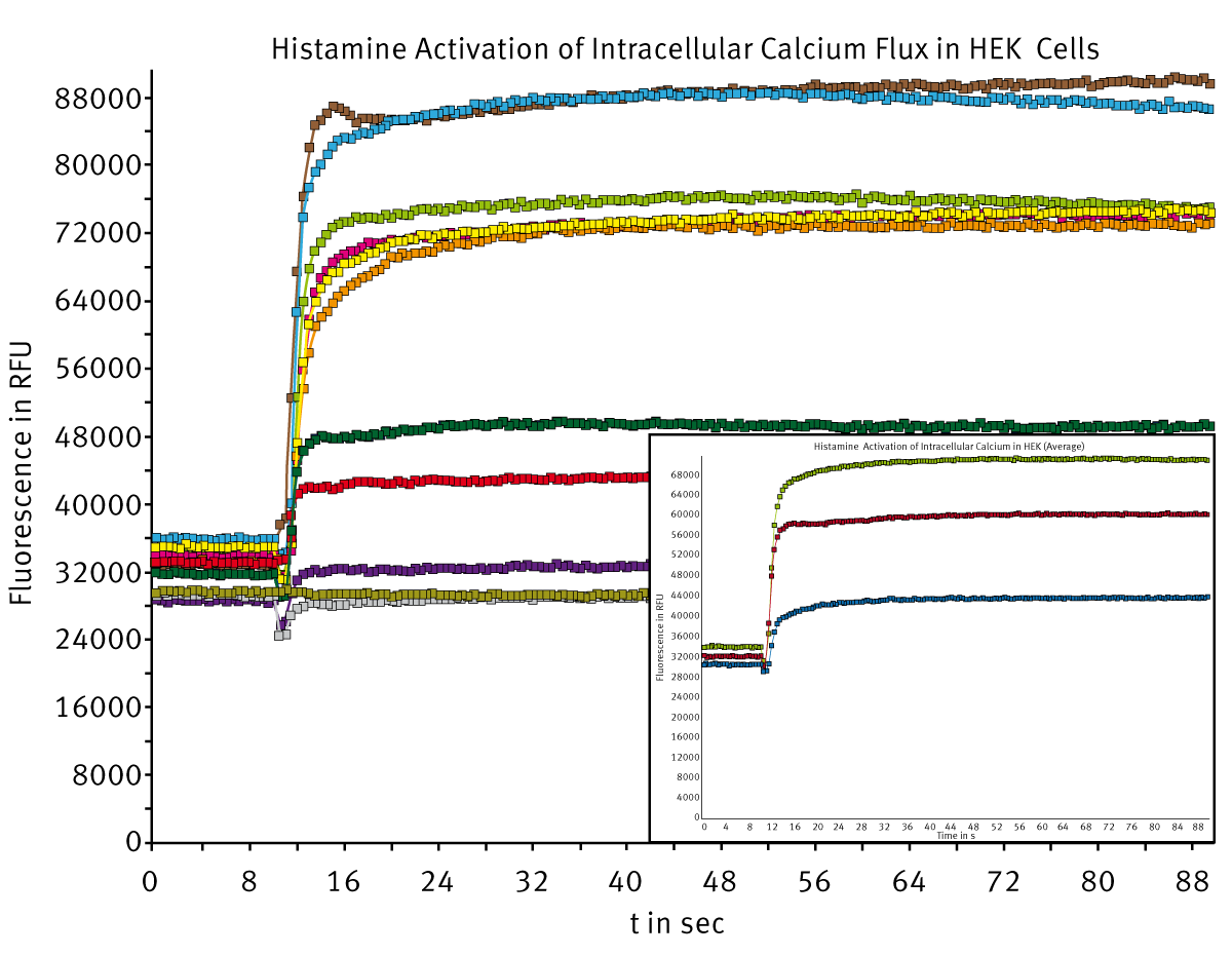 Fig. 1: Fluo-4 Direct™ intracellular calcium response in HEK 293 cells upon injection of histamine (5, 10 and 15 μL of 270 nM) in a 384 well microplate. Inset graph shows the average of four replicates.