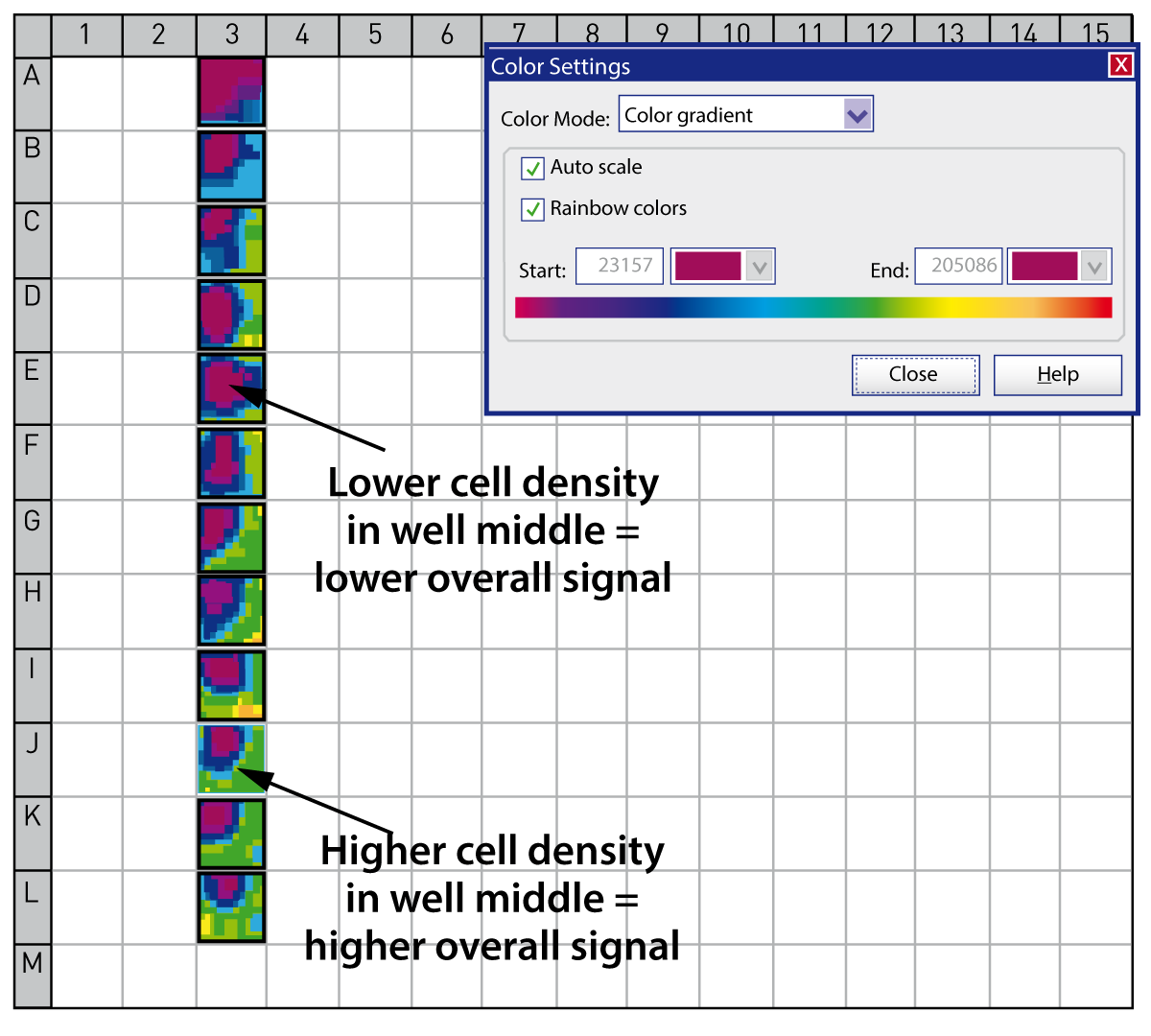 Fig. 2: Bottom reading high resolution cell layer scanning (10x10 matrix) shows the uneven distribution of HEK cells in each well. Samples with higher cell density in the middle of the well gave a more robust calcium response than lower density wells