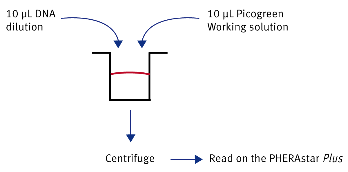 Fig. 1: Easy “Mix + Measure” protocol is used for dsDNA quantification.