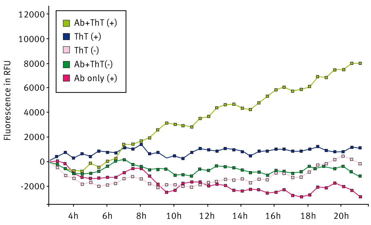 Fig. 1: Kinetic plot showing the effect of Teflon beads on aggregation promotion of an antibody; (+) indicates presence of bead; (-) indicates the absence of bead. ThT=Thioflavin T. (Range set from cycle 4-40 to normalize for initial equilibration factors. Data presented as baseline corrected.)