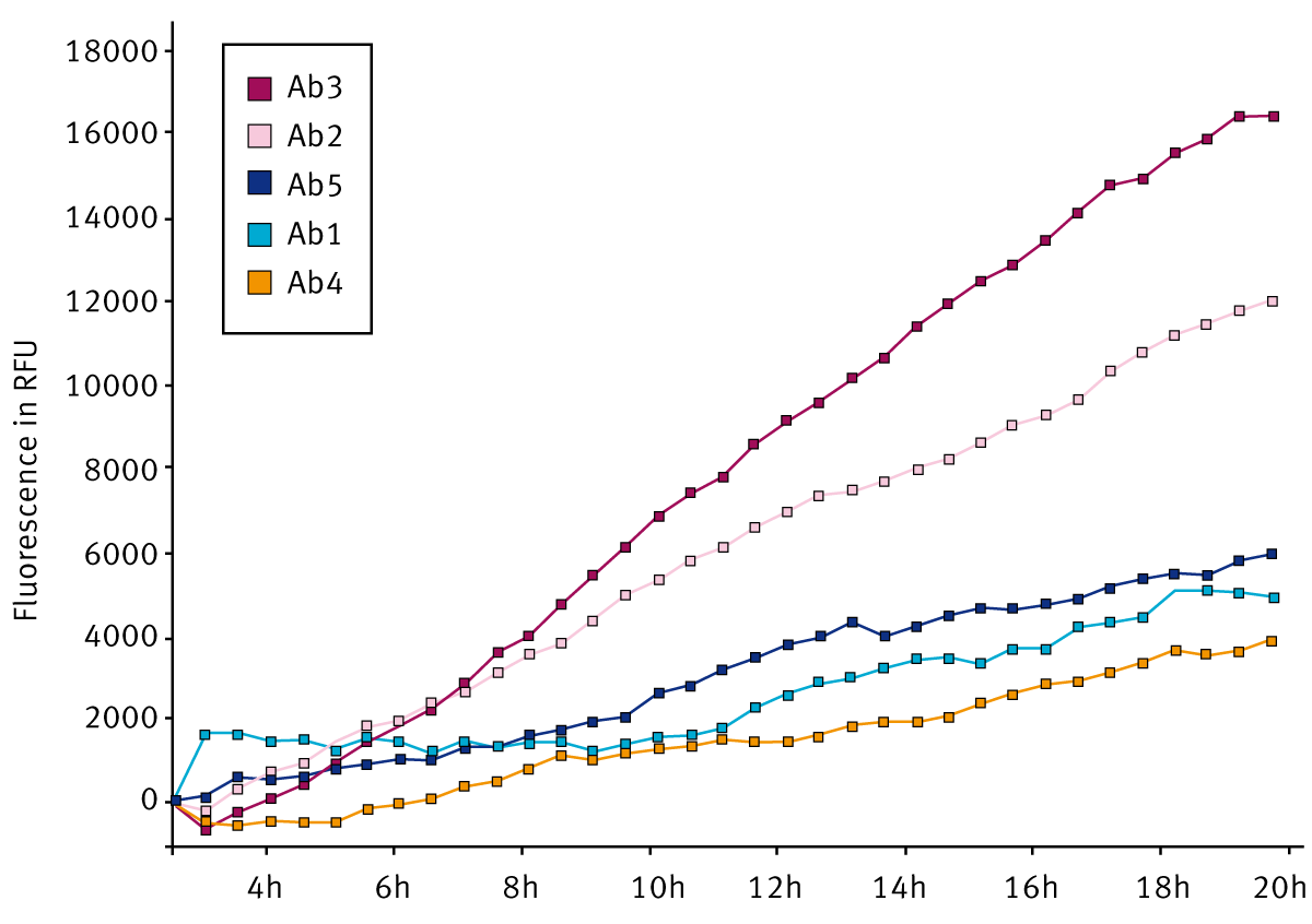 Fig. 2: Effect of shaking on the aggregation propensity of different antibody molecules in the presence of a Teflon bead (in situ ThT).