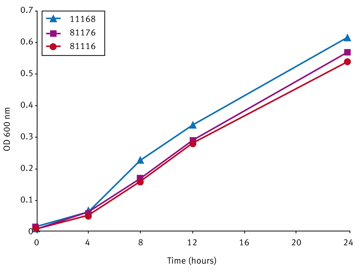 Fig. 1: Growth of C. jejuni genome strains over a 24 hour period grown in shaking tubes in a VAIN.