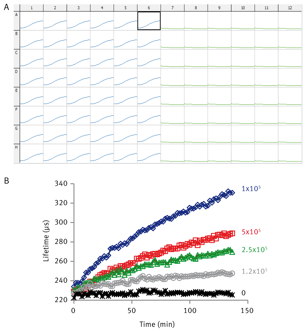 Fig. 2: A) 96 well plate based analysis of extracellular acidiﬁcation measured on a BMG LABTECH microplate reader, cell proﬁ les on left, control proﬁ les on right). B) Acidiﬁcation proﬁles for HepG2 cultured in L15 medium at the indicated seeding concentration (cells/well).