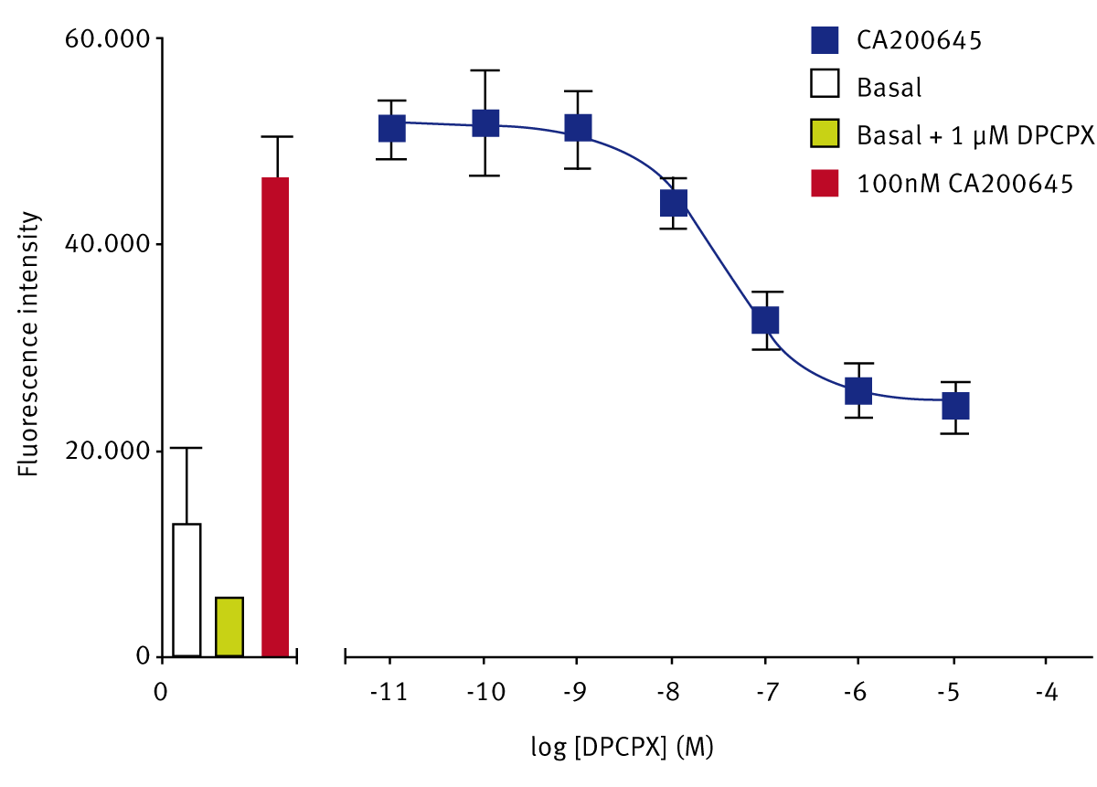 Fig. 2: Fluorescent ligand binding at human adenosine A1 receptors, and displacement with the unlabelled A1-selective competitor DPCPX.
