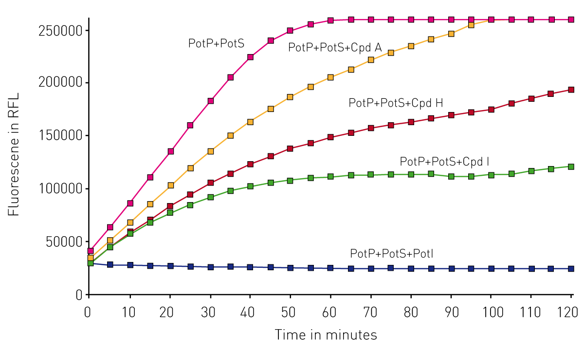 Fig. 1: Kinetic curves obtained from the M1/M17 fluorescent assay. Figure is directly taken from the MARS data analysis software.