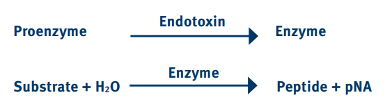 Equation 1: Endotoxin detection reaction equation