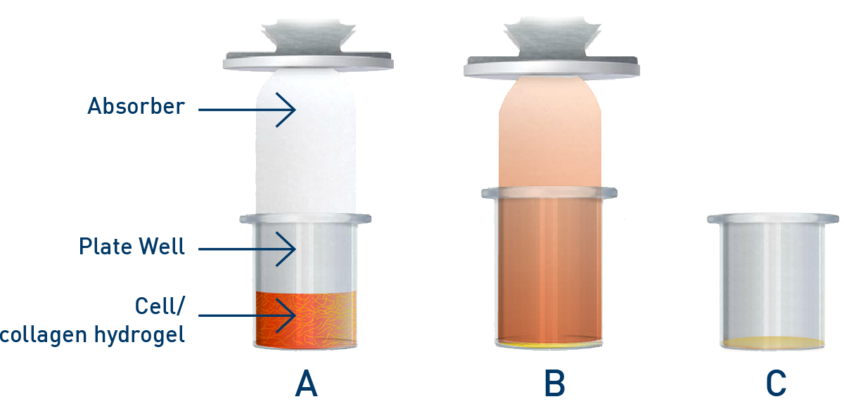 Fig. 1: RAFT Process Principle.