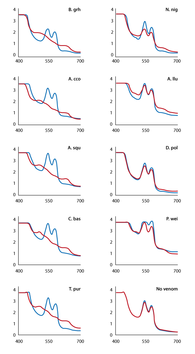 Fig. 1: Screening a snake venom library for haemoglobin-modifying activity Haemoglobin absorbance spectrum before (blue trace) and after 16 hours’ incubation (brown trace) with venom from members of the Viperidae family (left column), the Elapidae family (right column) or in the absence of venom (bottom right). The x-axis shows wavelengths in nm, the y-axis exhibits the corresponding OD values.