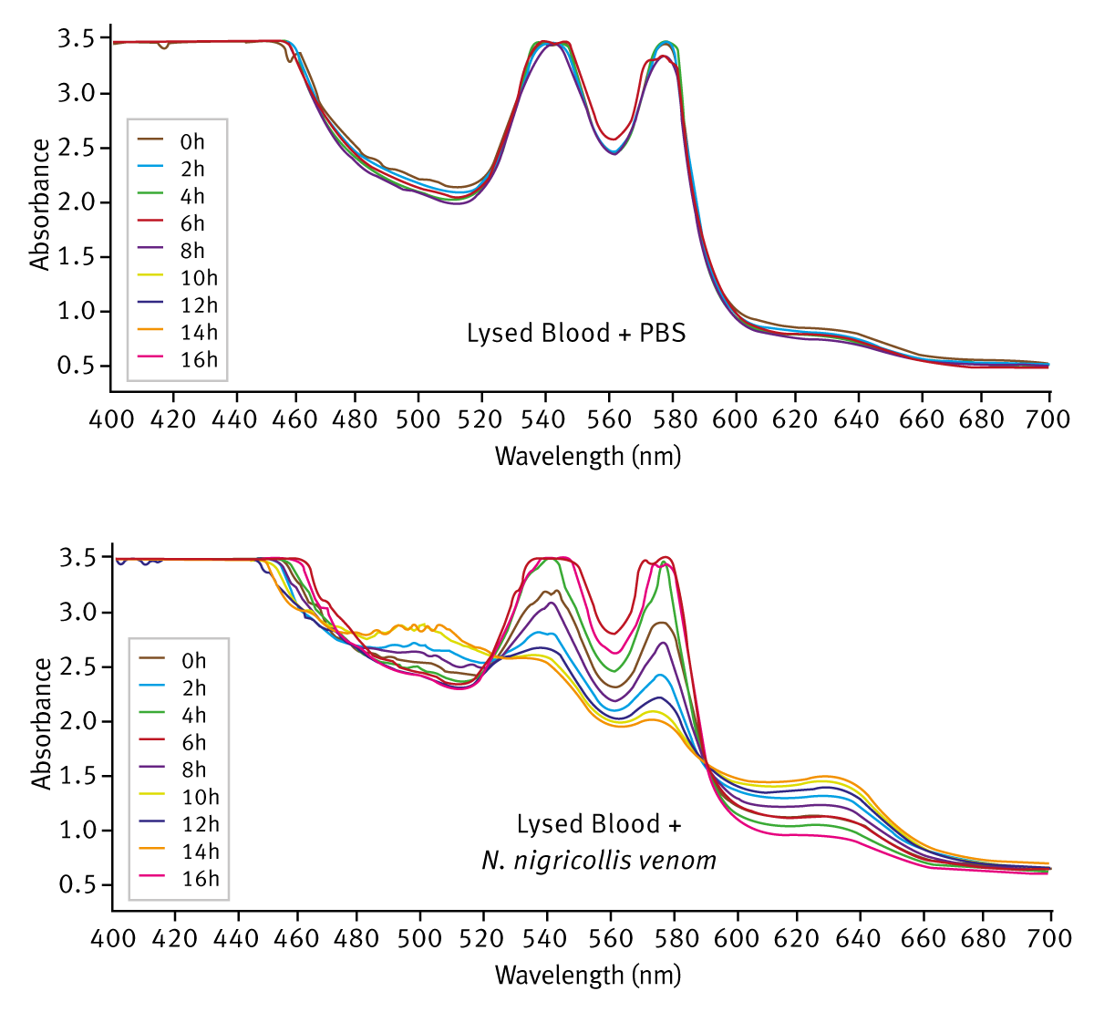 Fig. 2: Time-dependent change in haemoglobin absorbance spectrum in the presence of N.nigricollis venom Lysed sheep blood incubated with PBS only (upper graph) or N. nigricollis venom (lower graph). Spectrum recorded at 2 hour intervals.