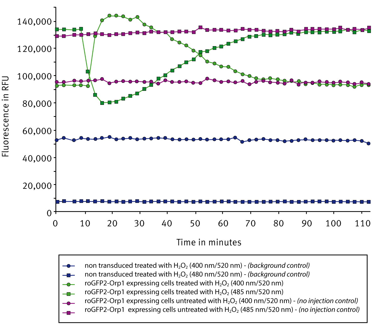 Fig. 2: Signal curves for roGFP2-Orp1 transduced cells before and after injection of hydrogen peroxide in comparison to a non-transfection control and a no injection control.