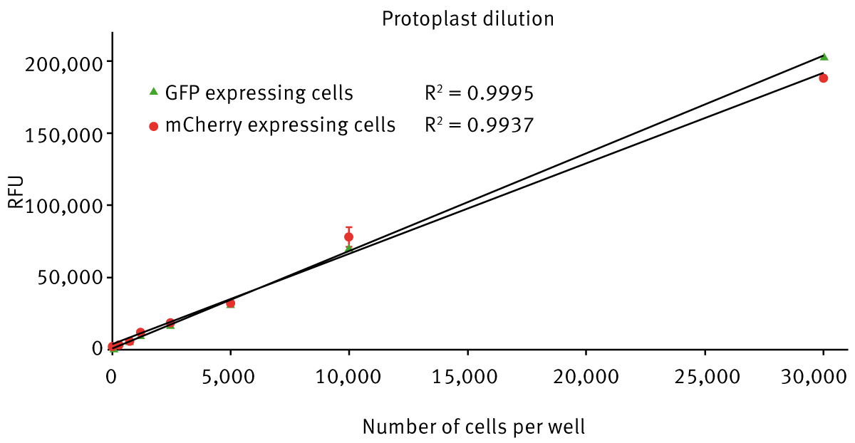 Fig. 3: GFP protoplast expression measured at 480/519 nm. mCherry protoplast expression measured at 562/603 nm.