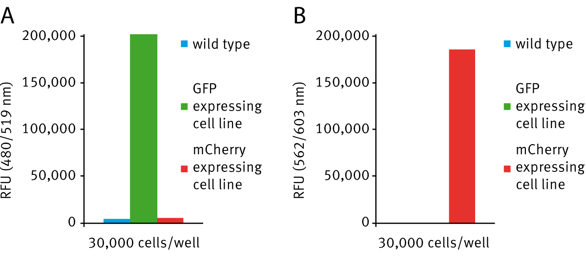 Fig. 4: A GFP ﬂuorescence measured for wild type, GFP and mCherry expressing cell lines. B mCherry ﬂ uorescence measured for wild type, GFP and mCherry expressing cell lines.