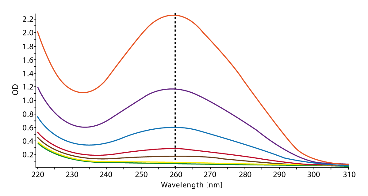 Fig. 1: Absorbance spectrum of different concentrations of calfthymus DNA recorded on the POLARstar Omega. Detection range is between 220 and 310 nm and resolution was set at 1 nm.