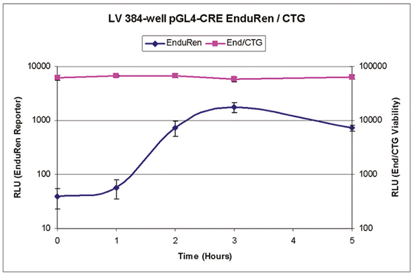 Fig. 3: Coupled Renilla reporter activity with cell viability in 384-well format. The kinetic proﬁle of a Renilla reporter gene is correlated with the overall cell number.
