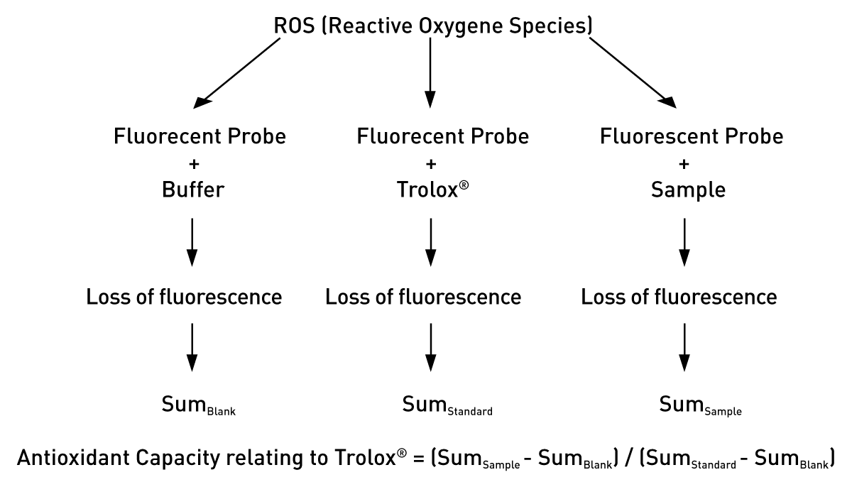 Fig. 1: ORAC Assay Principle.