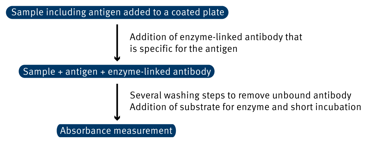 Fig. 1: ELISA Assay Principle.