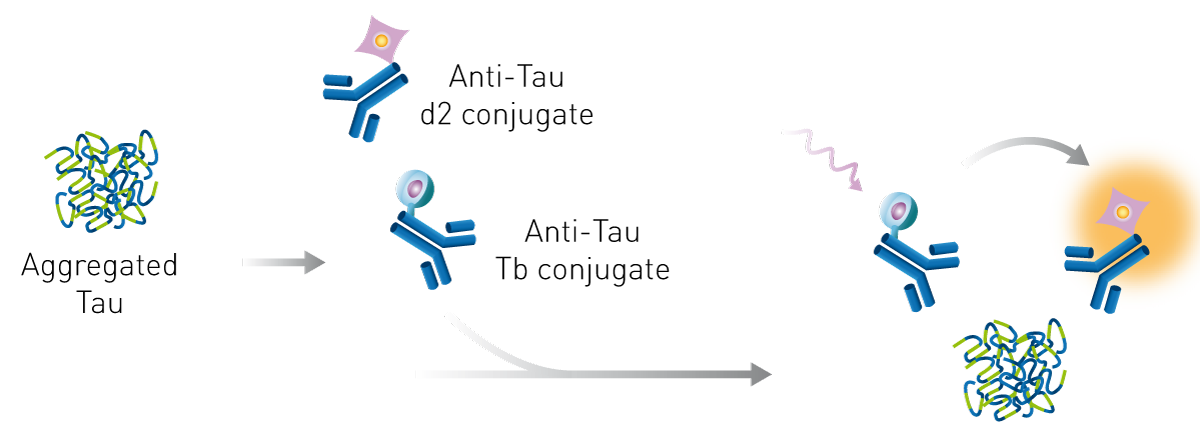 Fig. 1: HTRF tau aggregation assay principle.