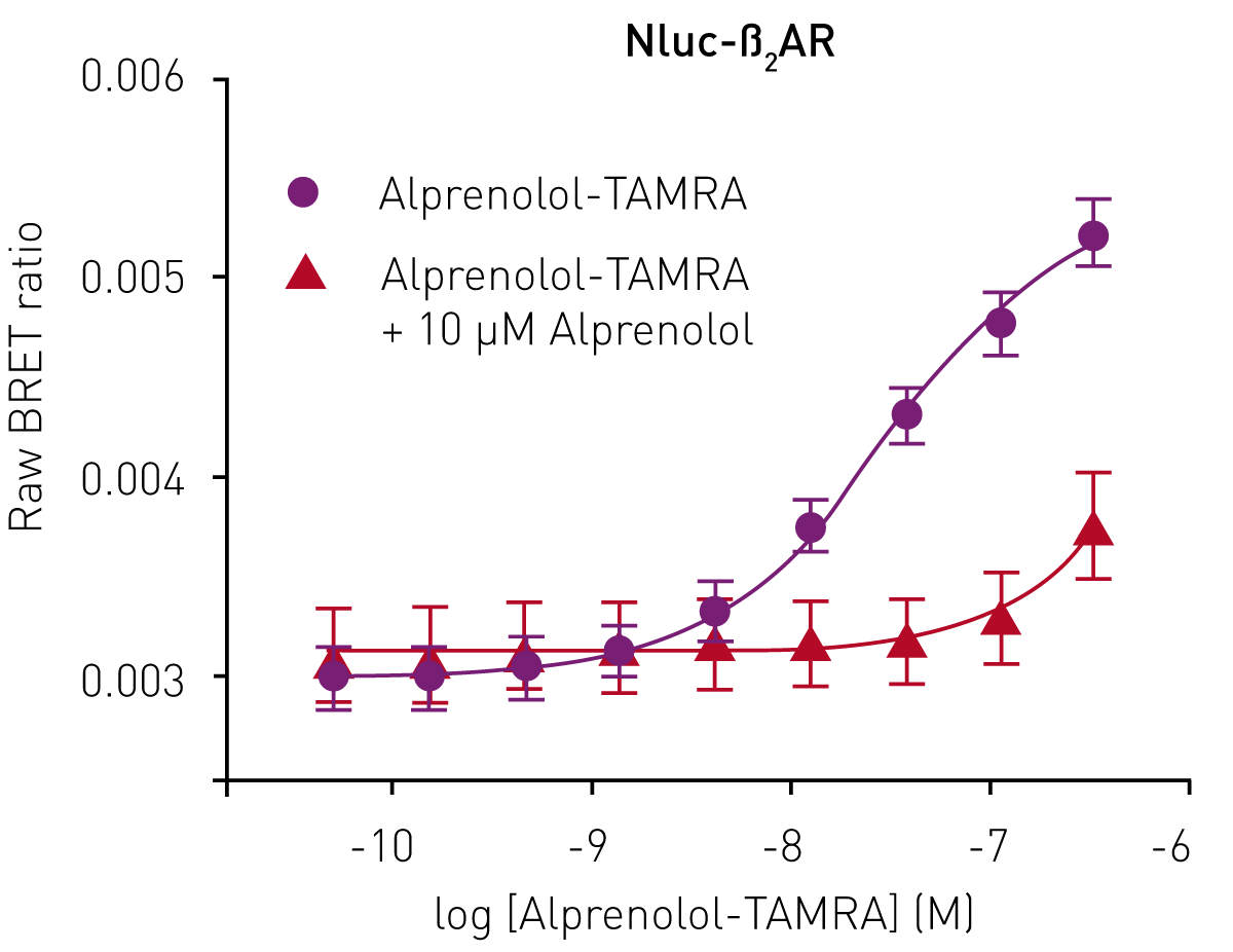 Fig. 3: Saturation binding experiment using HEK293 cells expressing Nluc-ß2AR with increasing concentrations of alprenolol-TAMRA (black) and with increasing concentrations of alprenolol-TAMRA in the presence of a high concentration of unlabelled alprenolol (red). Data previously published in Stoddart et al.3