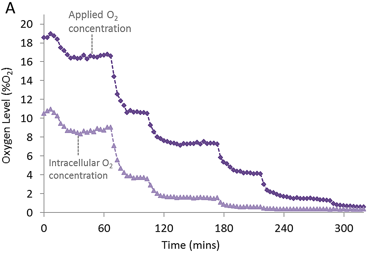 Fig. 2: Monitoring O2 concentrations in samples containing 3D HepG2 cells in response to decreasing atmospheric O2 conditions realized by the CLARIOstar ACU.