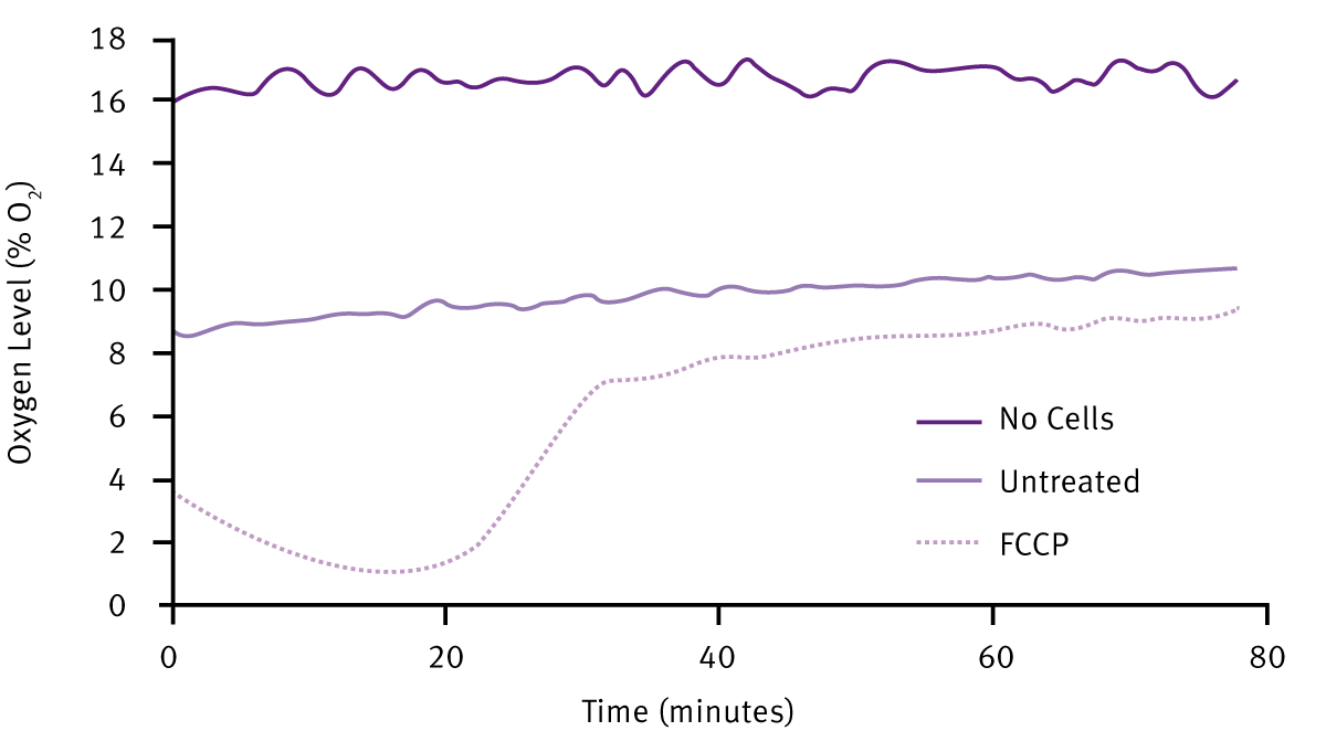 Fig. 4: Measuring the effect of drug treatment on cellular oxygenation, with HepG2 3D RAFT™ structures using MitoXpress Intra at 21% applied oxygen.