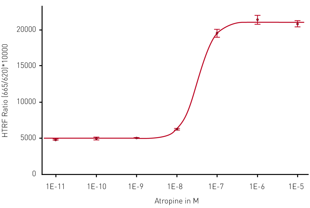 Fig. 3: Antagonist atropine potency determination on CHO-M1 Gq coupled GPCR. Atropine inhibits the effect of a ﬁxed concentration of acetylcholine agonist. Measurement was done on the PHERAstar using the laser in ﬂying mode (1 ﬂash) to measure the HTRF signal. The 4-parameter ﬁt was performed with the MARS Data Analysis software and was weighted using the formula 1/Y2.