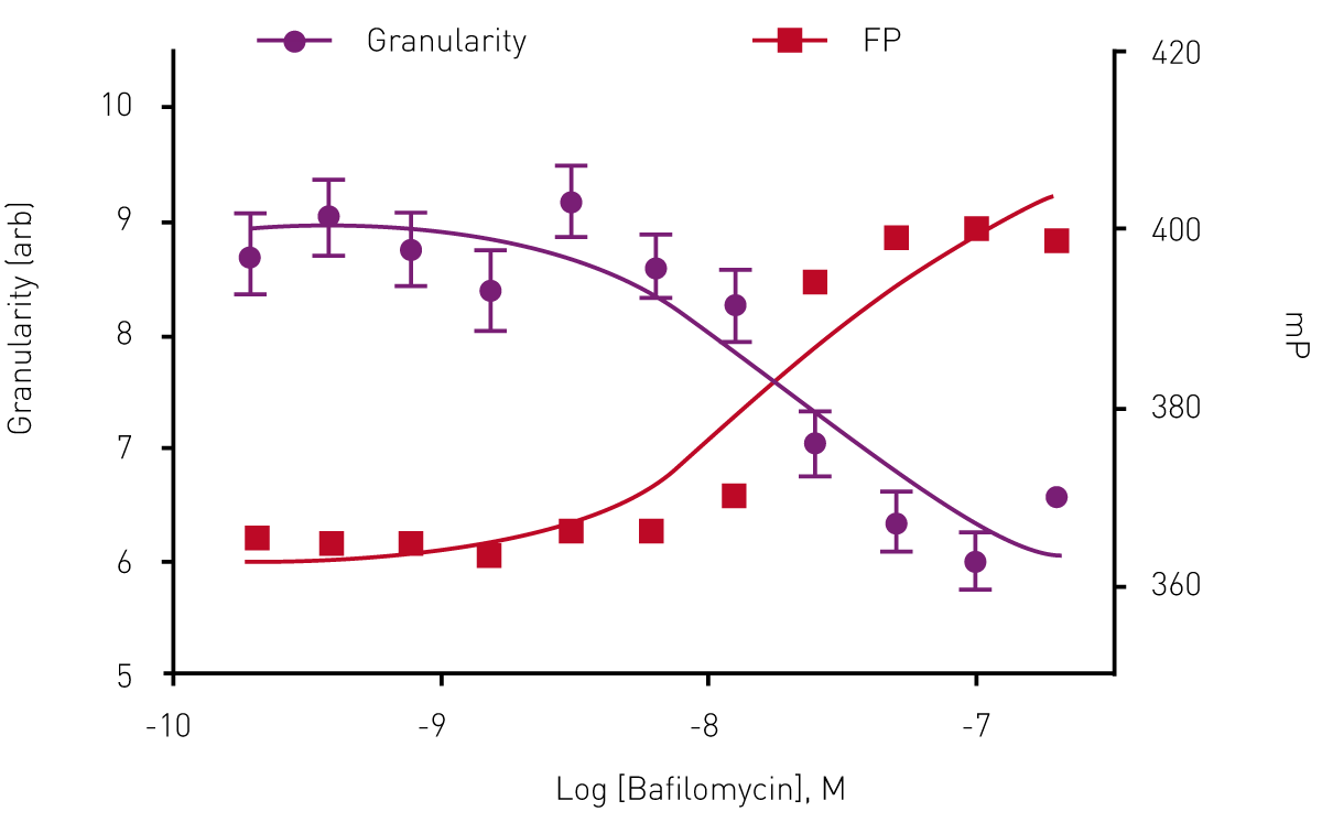 Fig. 3: Dose response to Baﬁlomycin in Insulin Granule Packing Assay. Analysis show an anti-correlation between homoFRET- FP signal and mCherry granularity.