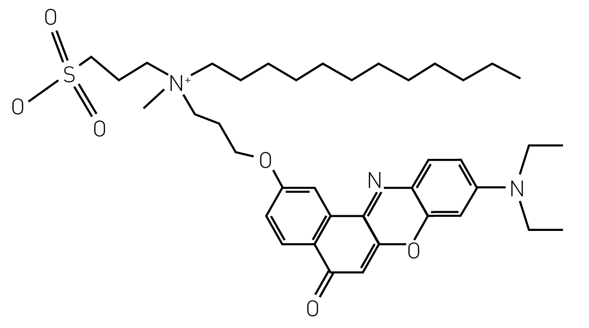 Fig. 1: Structure of NR12S.