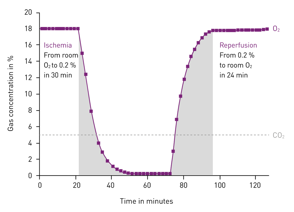 Fig. 1: Example of ischemia-reperfusion atmospheric conditions in the CLARIOstar microplate reader with ACU. O2 and CO2 levels were regulated as deﬁned in the reader software.