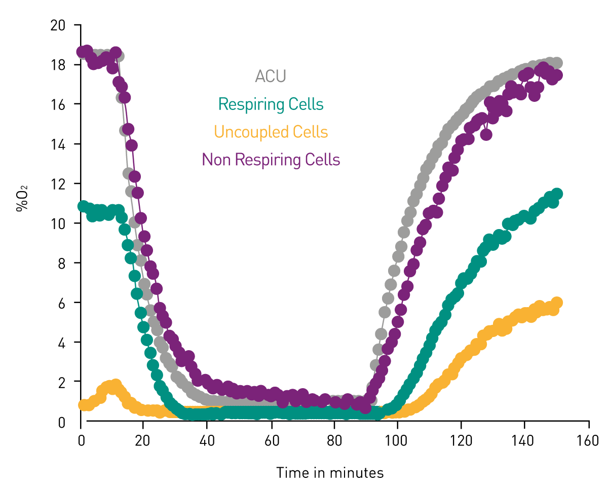 Fig. 3: Ischemia-reperfusion proof-of-concept using HepG2 cells. Ischemia-reperfusion insult induced by modulating O2 in the measurement chamber. Cellular oxygenation is monitored in respiring, non-respiring (Antimycin treated), and uncoupled (FCCP treated) cells.