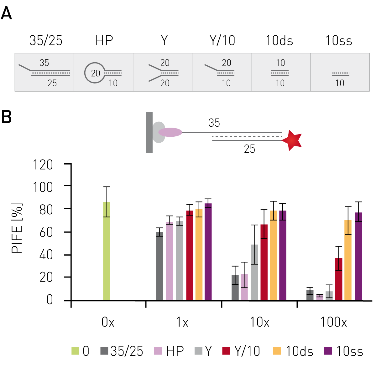 Fig. 3: Structure speciﬁc binding of XPF/ERCC1. (A) Structure of competitor oligonucleotides. Number indicate lenghts of oligonucleotides. (B) Competitors were added to DNA-probe-protein complex in 1x, 10x, and 100x excess and PIFE values were calculated. Data published in Valuchova et al.