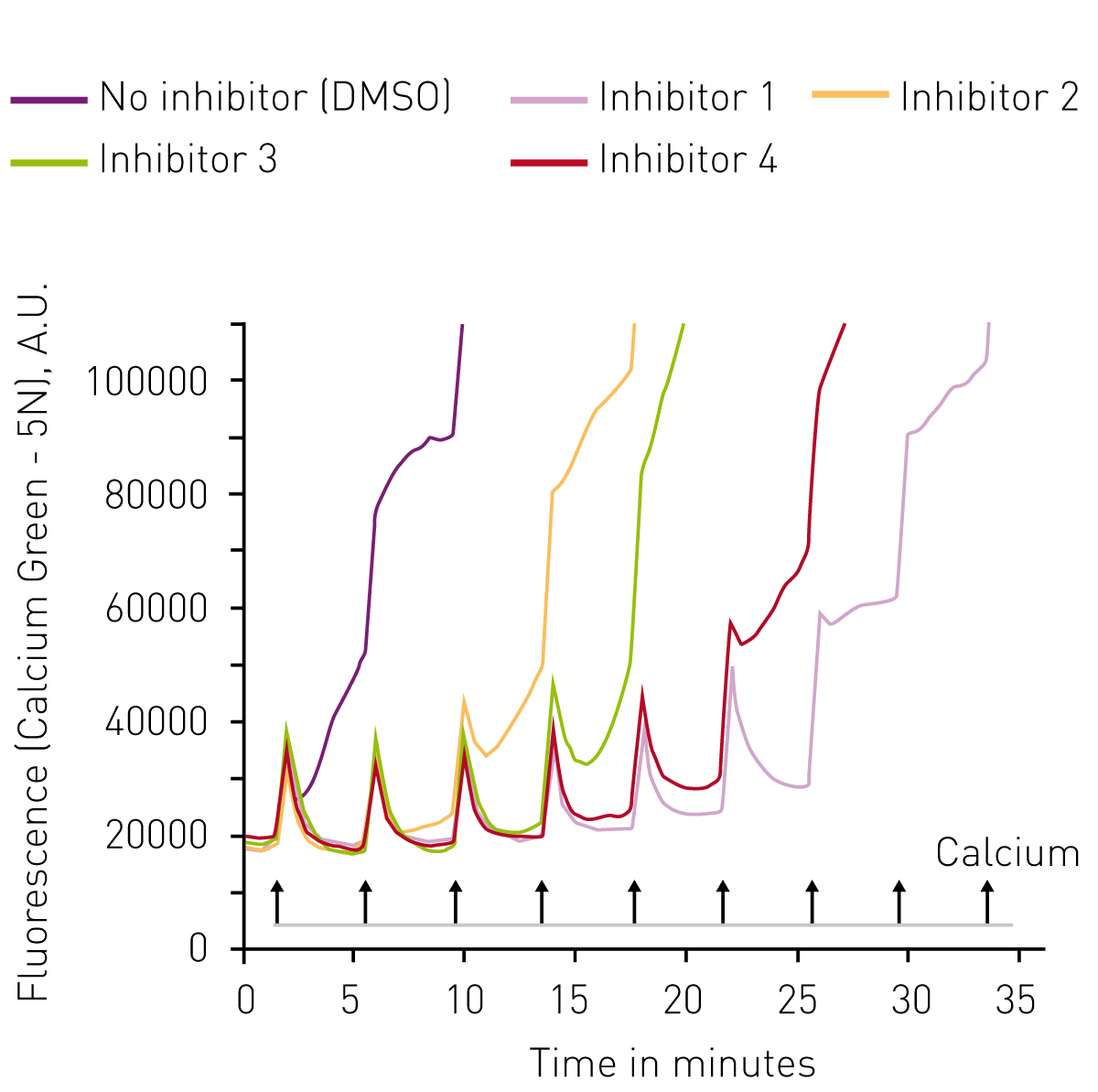 Fig 3: Concentration dependent response of the MPTP inhibitor in the CRC assay. Inhibitor was tested at 8 different concentrations 50 – 0.39 µM (with serial dilution).