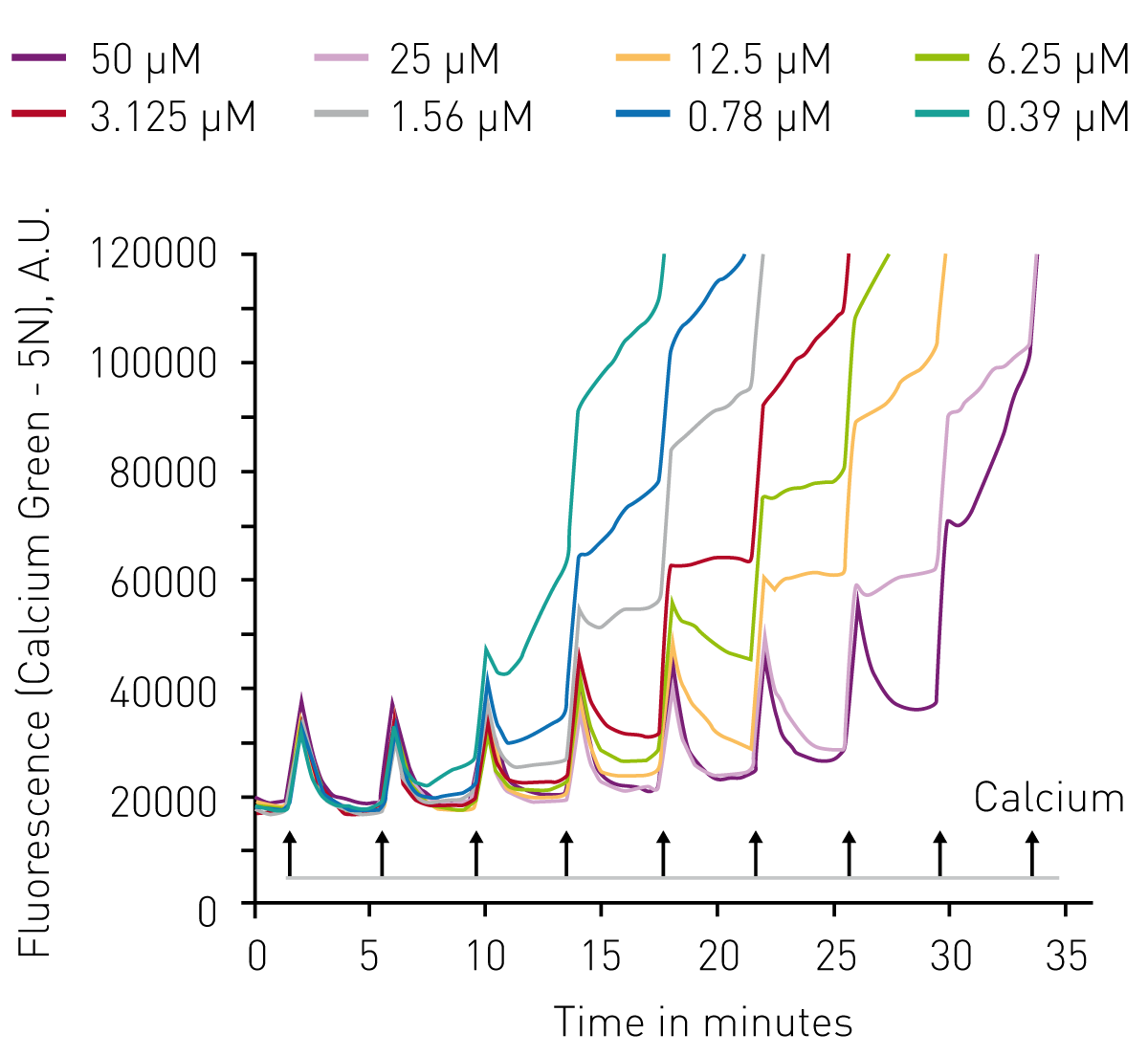 Fig. 2: Challenging isolated mitochondria with injections of CaCl2 leads to ﬂuorescent spikes until collapse of the mitochondrial permeability transition pore (MPTP) which is indicated by permanent high ﬂuorescence value. Time to maximum ﬂuorescence correlates with inhibition of MPTP.