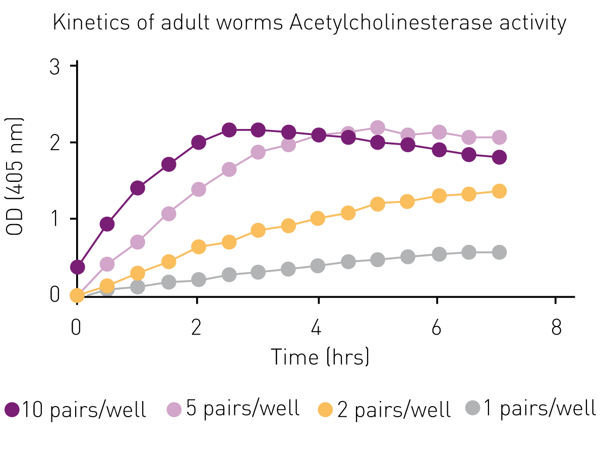 Fig. 2: Kinetic data for processing of acetylcholinesterase substrate by adult schistosomes.