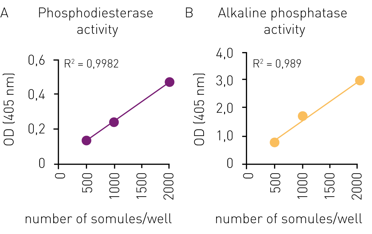 Fig. 4: Correlation of phosphodiesterase activity (absorbance at 405 nm) with number of schistosomula per well (in duplicate) after 17 hours (A). Correlation of alkaline phospha- tase activity (absorbance at 405 nm) with schistosomula per well (in duplicate) after 4 hours (B).