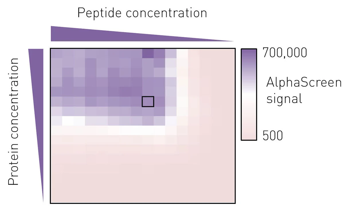 Fig. 3: Example of a protein:peptide titration matrix on a 384 well plate.