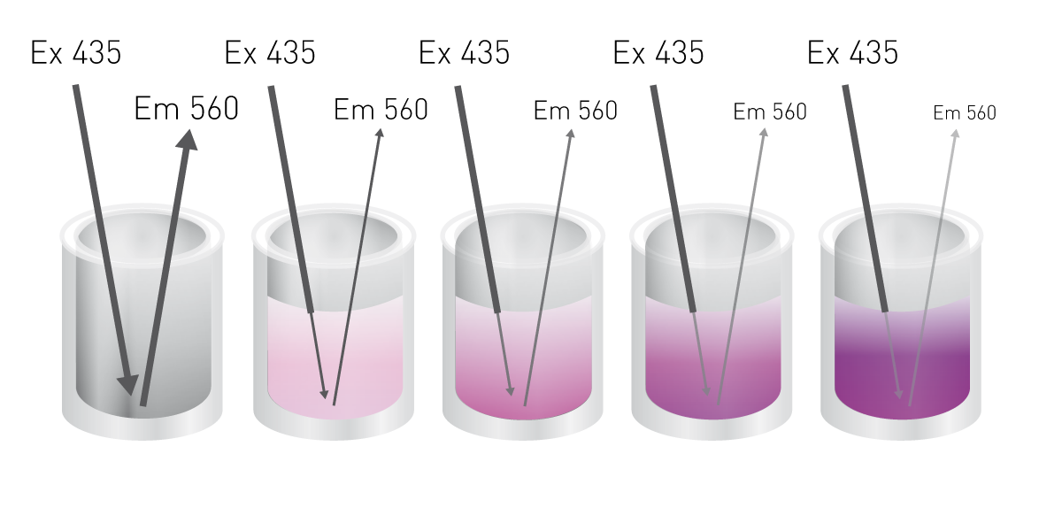 Fig. 1: Epi-absorbance principle for ﬂuorescent detection of BCA. White plates have a characteristic ﬂuorescent ex/em proﬁ le. This can be used in colormetric assays due to the ability of developed color to absorb light and thus amount of color change can be correlated to the intensity of ﬂuorescent signal detected.